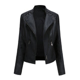 Denise | Grommet Zip Moto Jacket