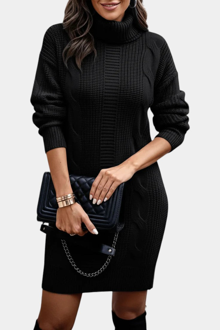 Sabella | Cozy Roll Neck Sweater Dress
