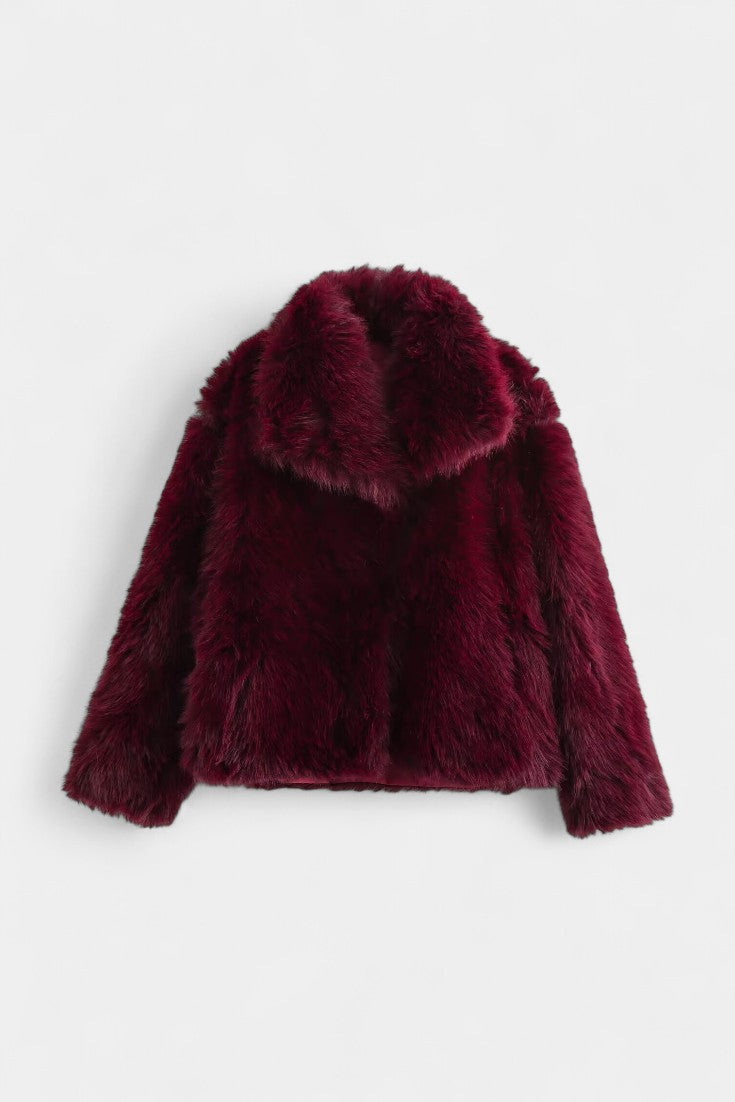 Camellia | Statement Collar Jacket