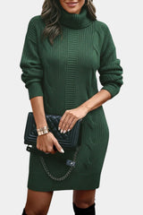 Sabella | Cozy Roll Neck Sweater Dress