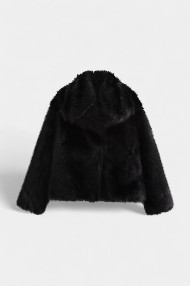 Noemie | Statement Collar Coat