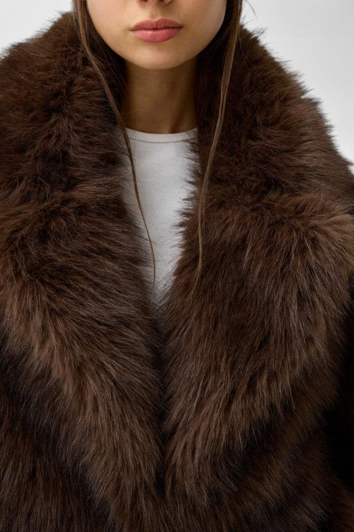 Camellia | Statement Collar Jacket